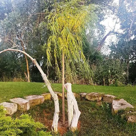מלון Moli Blanc Jorba