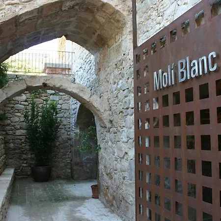 Moli Blanc