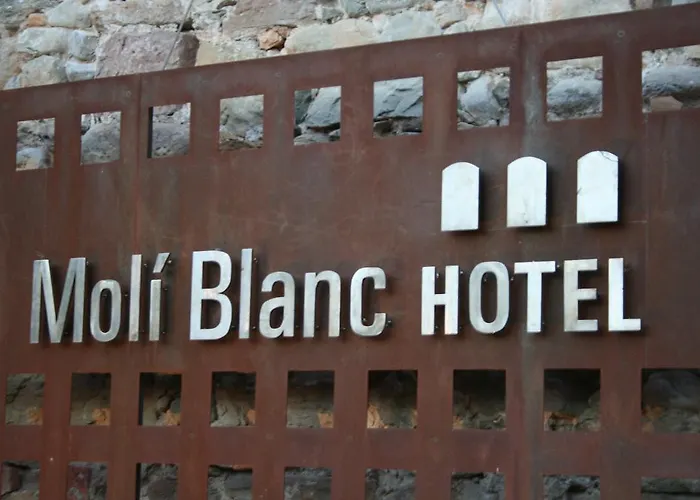 Hotel Moli Blanc Jorba