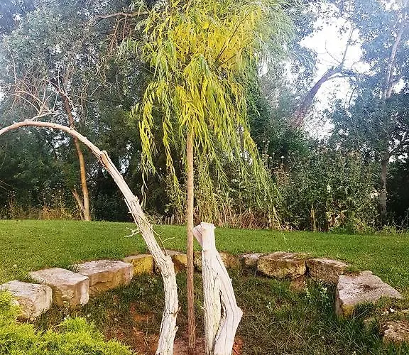 Hotel Moli Blanc Jorba